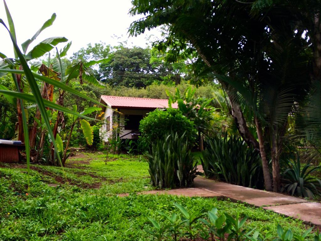 Las Luces Hotel Nicoya Exterior foto