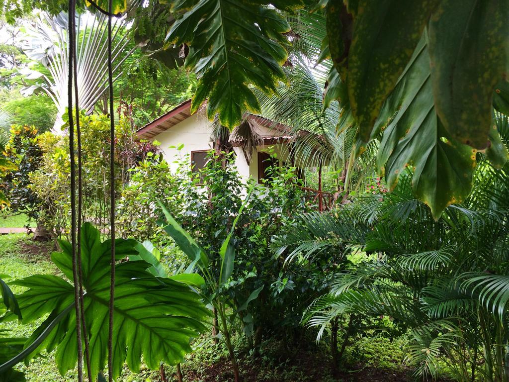 Las Luces Hotel Nicoya Exterior foto